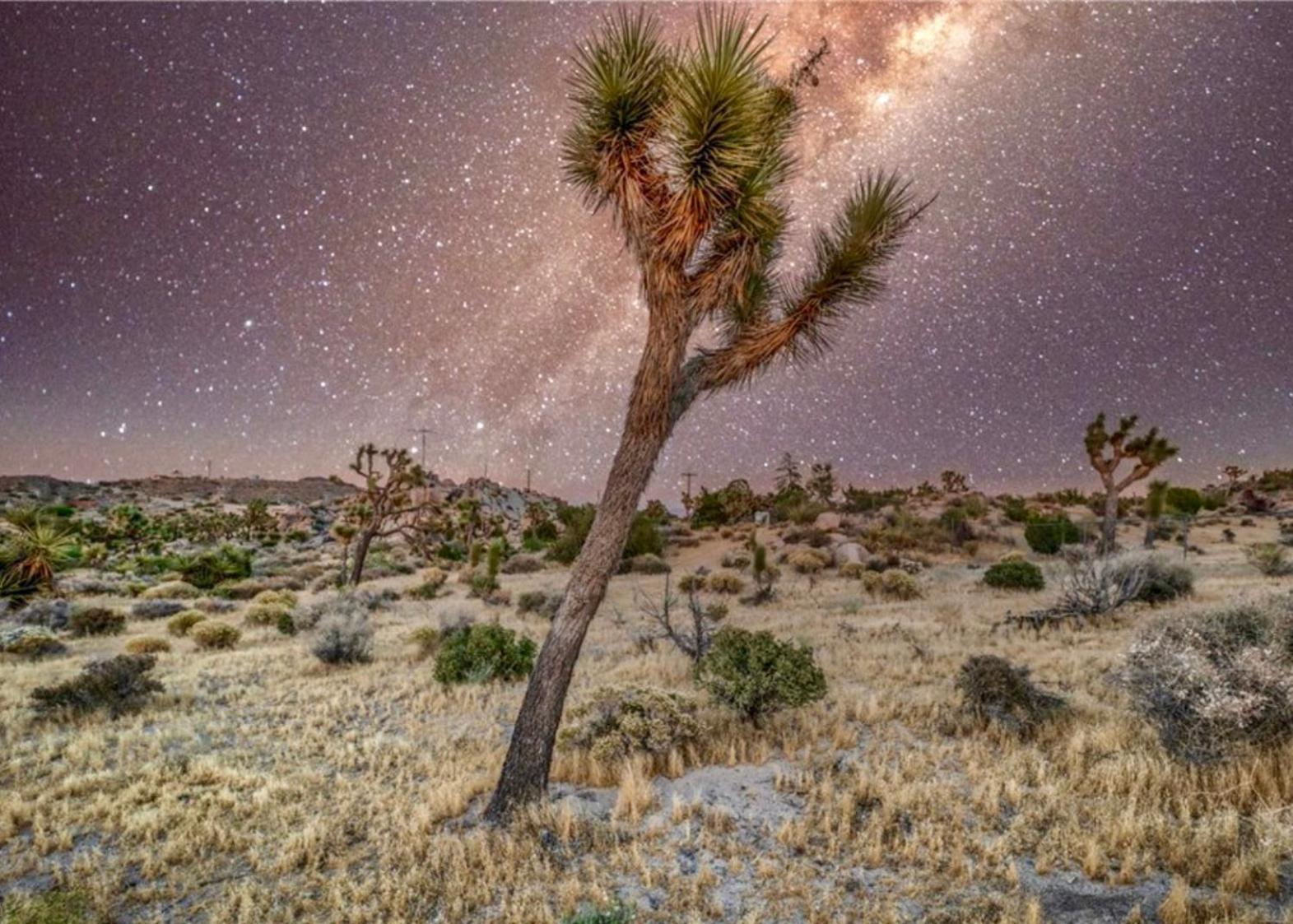 Twin Palms Desert Getaway - Jacuzzi, Fire Pit, Meditation Room & More Joshua Tree Εξωτερικό φωτογραφία